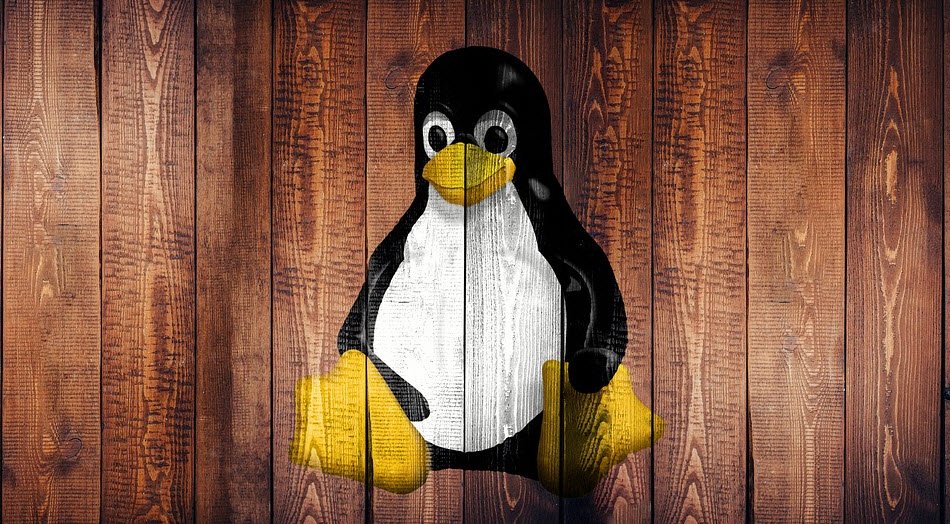 linux file permissions techhyme