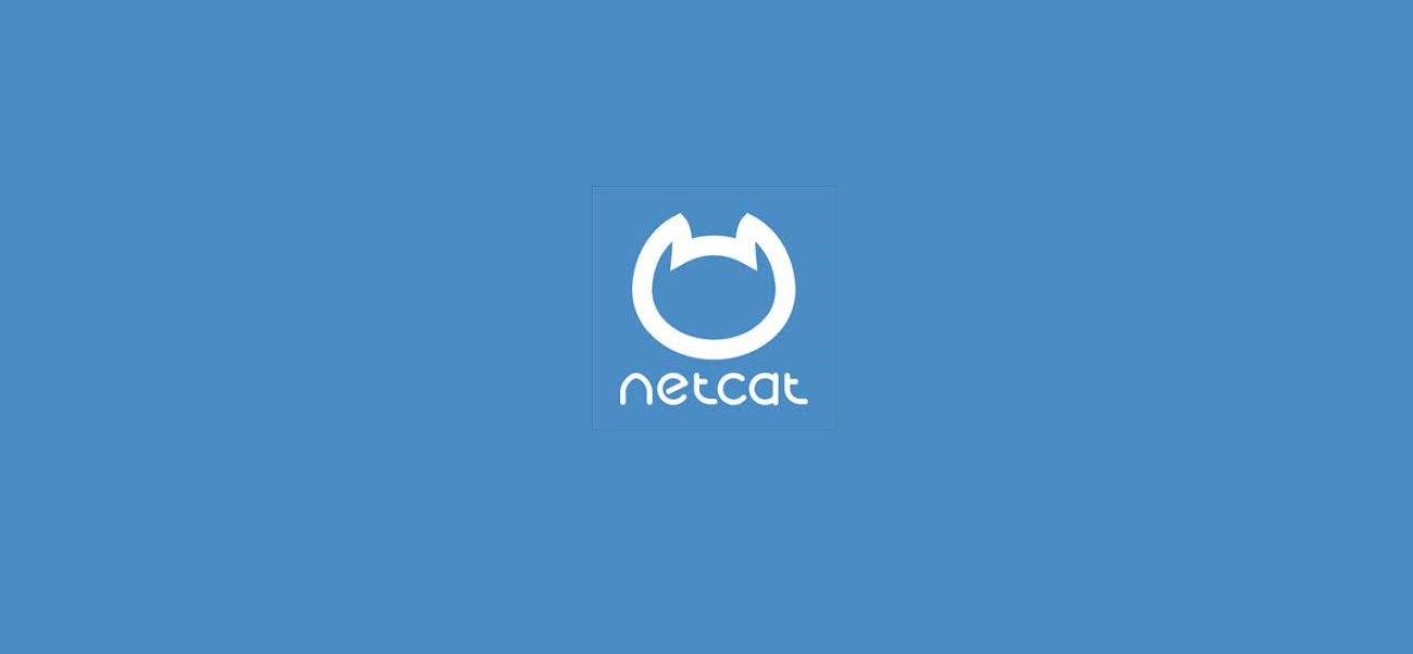 netcat commands techhyme