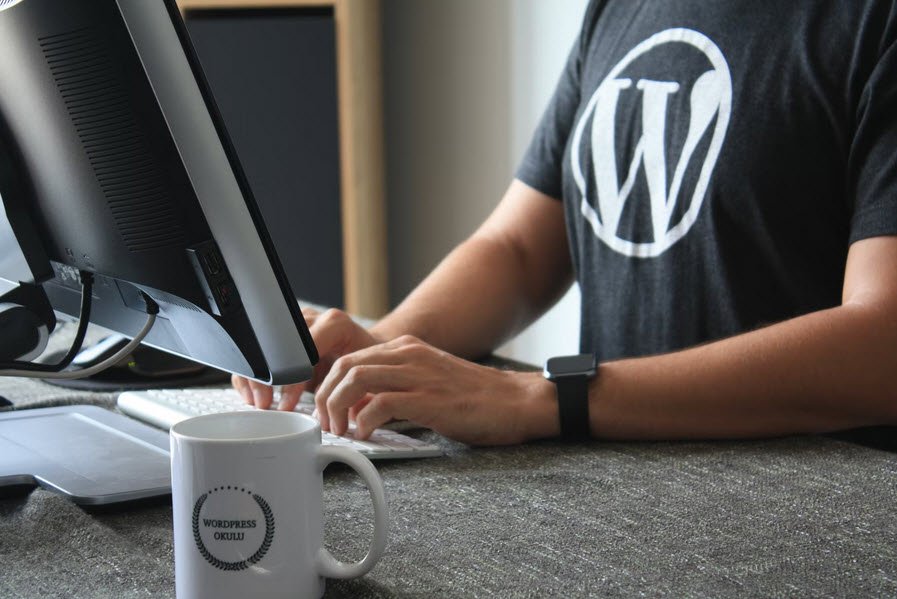 12 WordPress Elements Beginners Techhyme