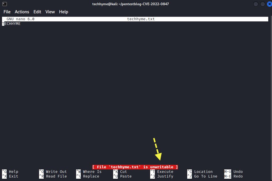 Dirty Pipe Vulnerability Exploitation Techhyme 