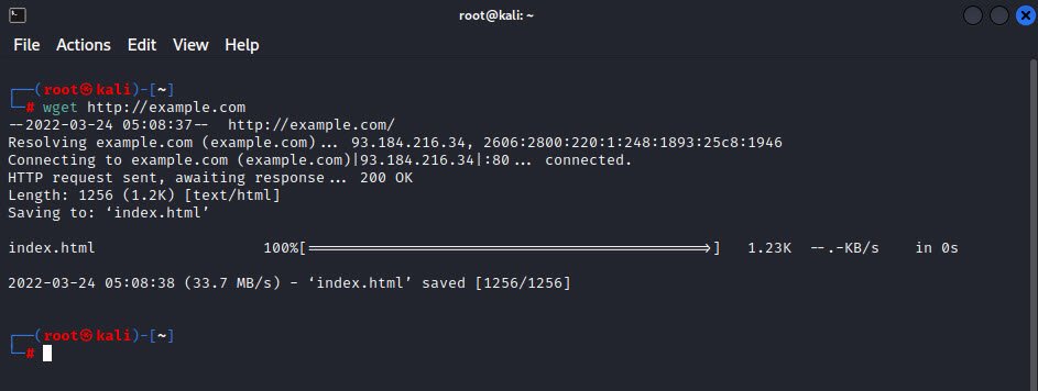 Linux Networking Commands Techhyme 13 