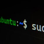 Bash External Commands Techhyme