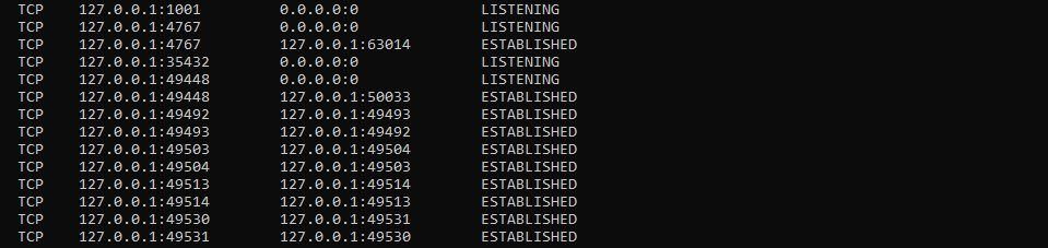 netstat first command techhyme