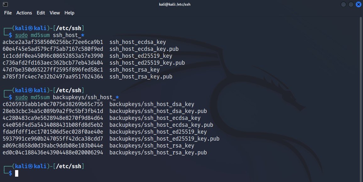 Kali Linux Secure Hardening Techhyme