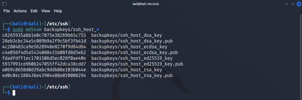 Kali Linux Secure Hardening Techhyme