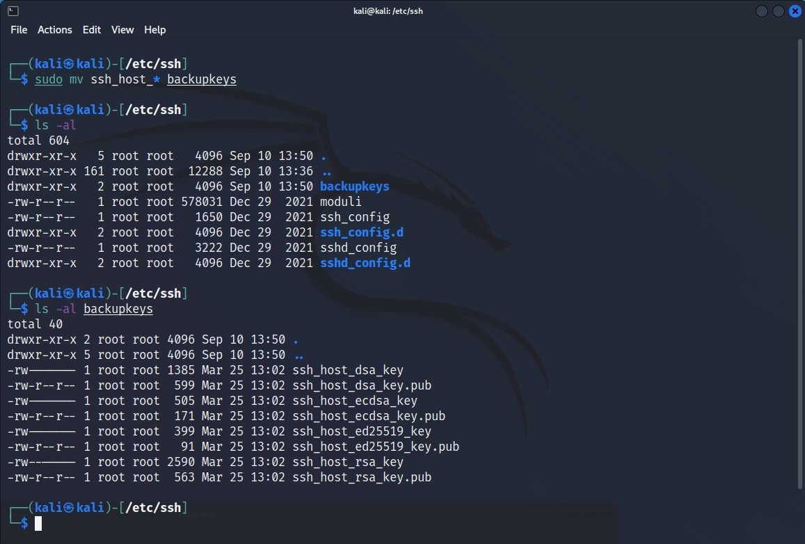 Kali Linux Secure Hardening Techhyme