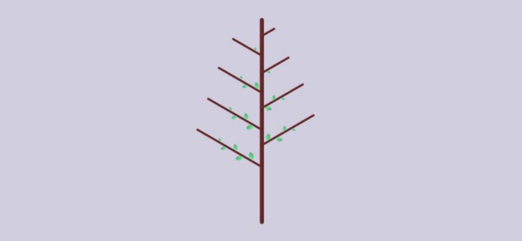 Tree Command Examples Ubuntu Techhyme