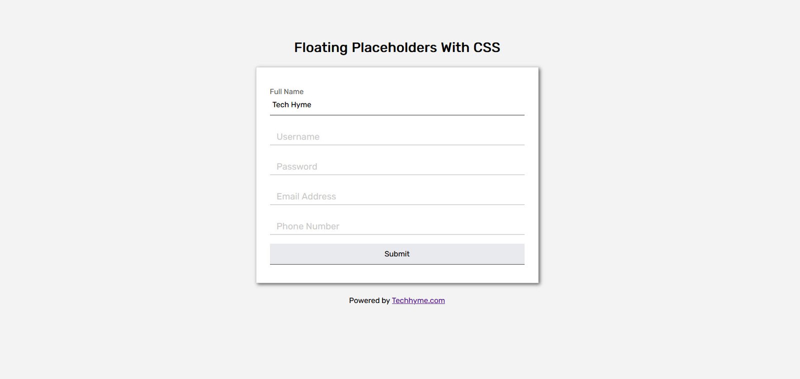 Floating Placeholder with CSS techhyme