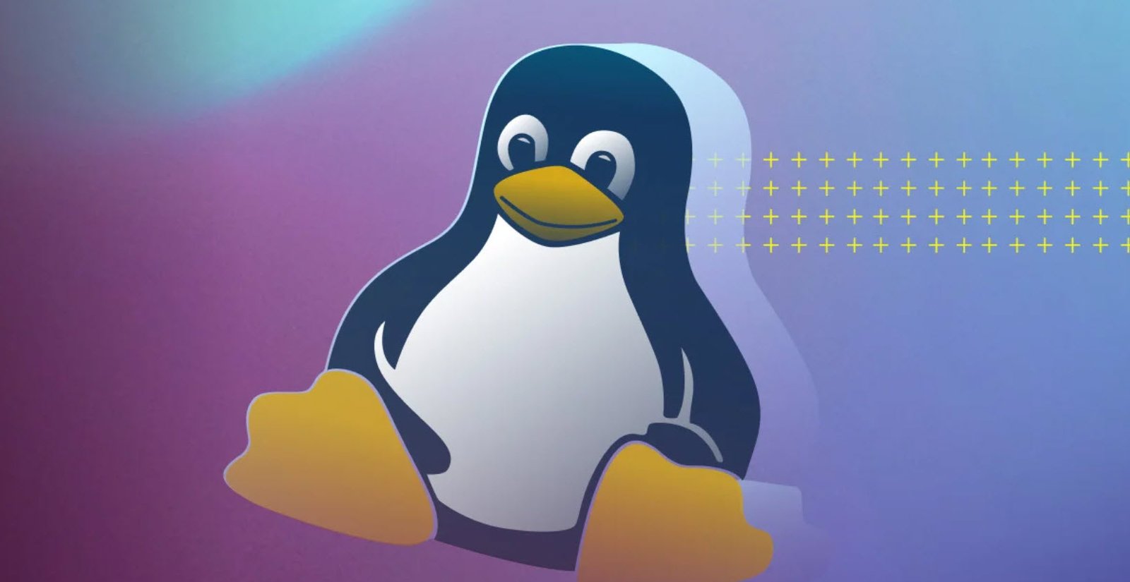 Для чего нужен linux. Discover Linux. Linux World.