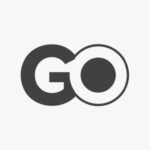 Go Conditional Statements Techhyme