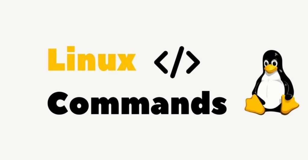 Linux Networking System SSH Commands Techhyme
