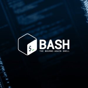 Bash Shell Variables Techhyme