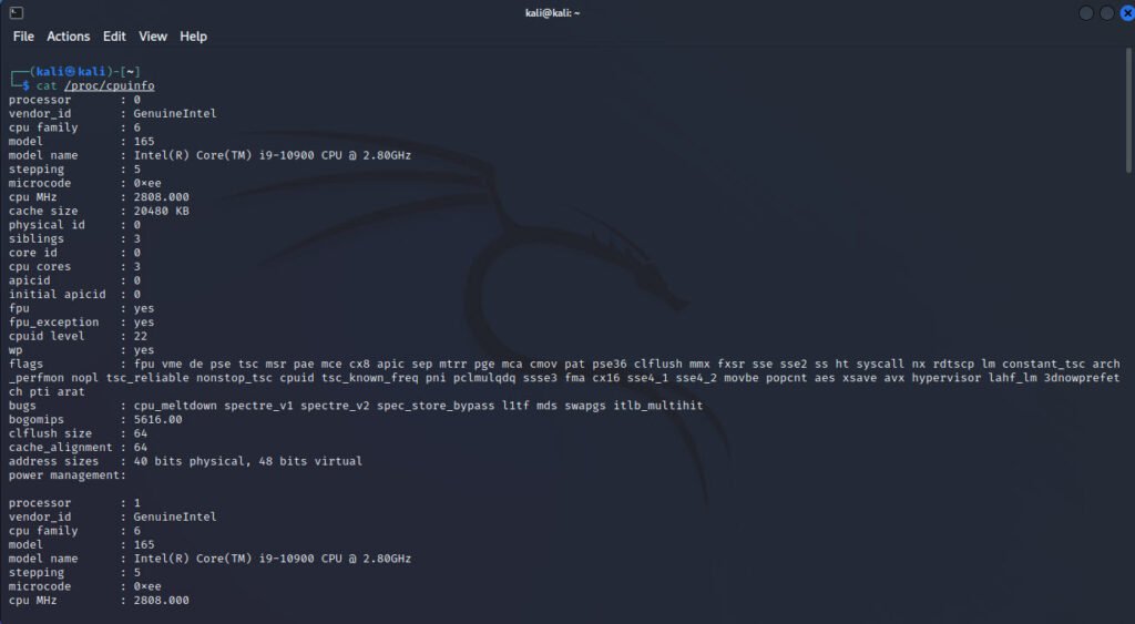 Top 11 System Information Commands in Kali Linux - Tech Hyme