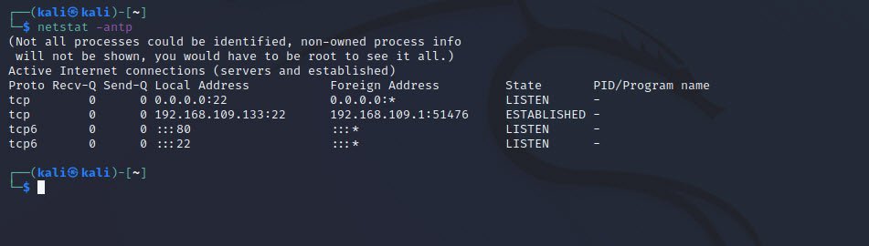 Netstat Active HTTP Connections Kali Linux Techhyme