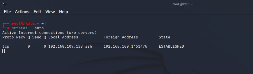 Netstat active connections Kali Linux Techhyme