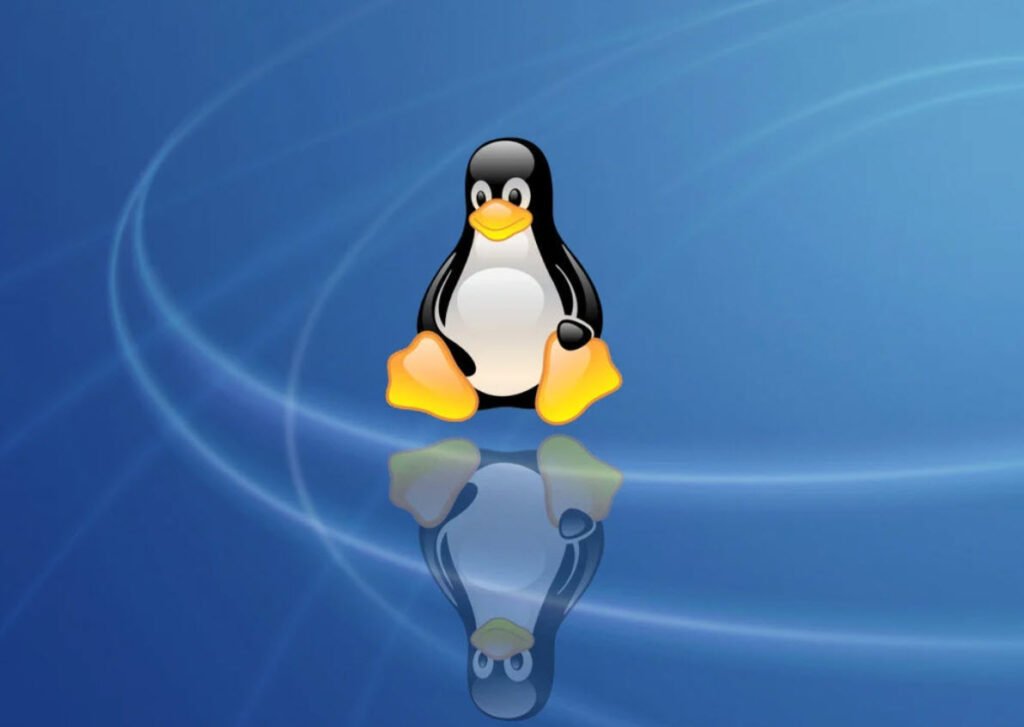 File Permissions Linux Techhyme