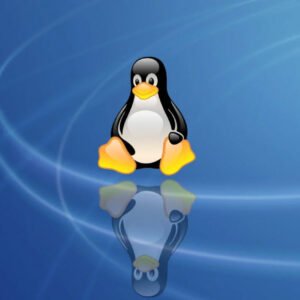File Permissions Linux Techhyme