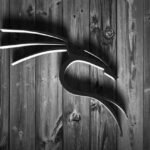 Kali linux system information commands techhyme