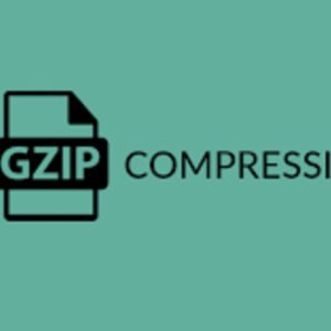 Gzip Compression Techhyme