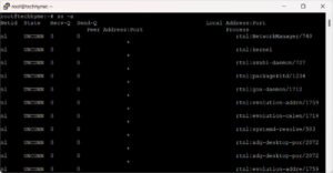 25 Useful Linux SS Command Examples to Monitor Network Connections ...