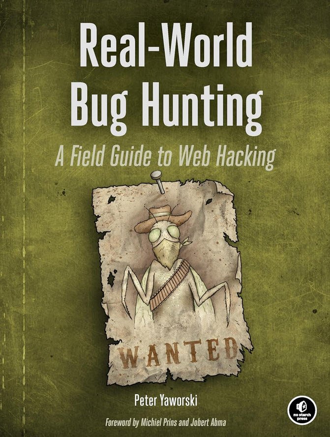 Real-World Bug Hunting