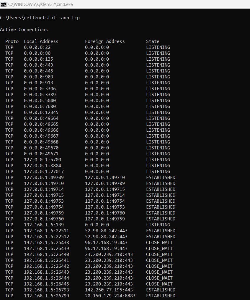 netstat anp command