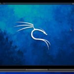 Kali Linux Script Bash