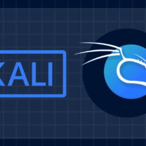 Kali Linux Tool Categories